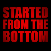 Started from the Bottom