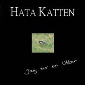 Hanging Down by Hata Katten