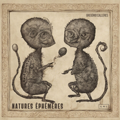 Natures éphémères