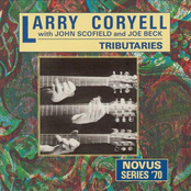 Zimbabwe by Larry Coryell