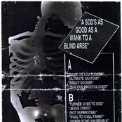 A Sod's as Good as a Wank to a Blind Arse