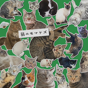 猫ニモマケズ