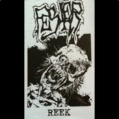 Reek