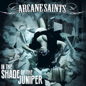 In the Shade of the Juniper