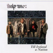 The Blackbird Of Sweet Avondale by Wolfe Tones