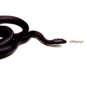 Slitheryn