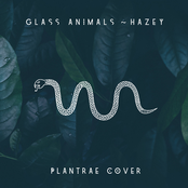 Plantrae: Hazey