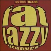 Fat Jazzy Grooves, Volumes 15 & 16