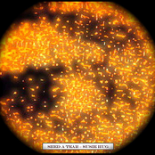 Shed A Tear w/ Prison of Your Heart Instrumental Bonus Track - Single