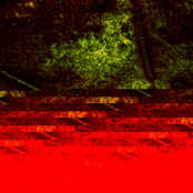 Meat Piles And The Birds Of Appetite