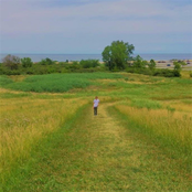 Tarred and Feathered