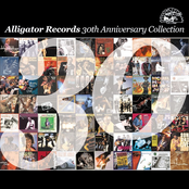 Alligator Records 30th Anniversary Collection