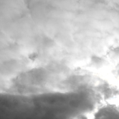 Two lovely piegies in the sky EP