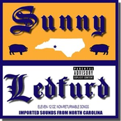 Good To Be A Redneck by Sunny Ledfurd