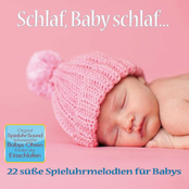 Schlaf, Baby schlaf
