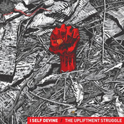 The Upliftment Struggle