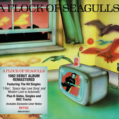 A Flock of Seagulls: A Flock Of Seagulls (Deluxe)