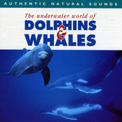 Relax With Nature Vol. 7