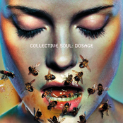 Collective Soul: Dosage
