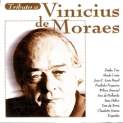 Pela Luz Dos Olhos Teus by Vinícius De Moraes