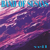 Following My Heart by Band Of Susans