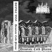 Desolate Cold Plains