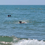 Spaghetti While Swimming (demos, commissions,hard disk finds)