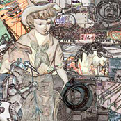 Elephant Orange (UR.002)