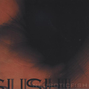 Neuroticfish – Sushi