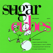 Fucking In Rhythm & Sorrow by The Sugarcubes