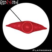 Flatworms