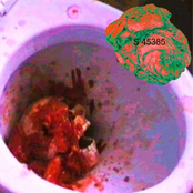 CASINO E BASTA