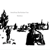 Seeds from the furthest vine