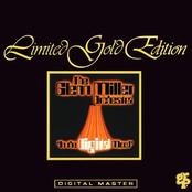 The Glen Miller Orchestra: In The Digital Mood