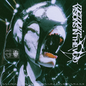 VISIONS IN THE VOID.