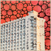 lo único que quiero