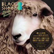 Blacksheep Compilation # 8 - The Season Finale