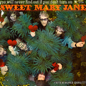 Sweet Mary Jane by Peps & Blues Quality