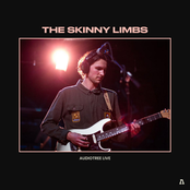 The Skinny Limbs on Audiotree Live