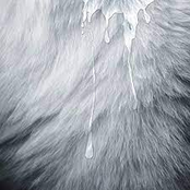 Give In (For the Fame) [Remixes]