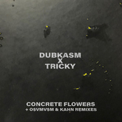 Concrete Flowers - Single