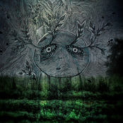 Attic Abasement / Nod Split