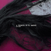Tribute To PJ Harvey Dry