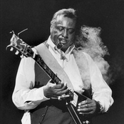 Albert King, John Lee Hooker