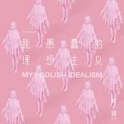 我愚蠢的理想主义