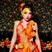 La Fiesta De Los Muertos