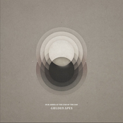 Our Ashes At The End Of The Day