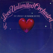 Are You Sure by Love Unlimited Orchestra