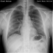 Dark Moon Hollow: Final Notice