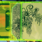 Purified Warfield Queenpuddle